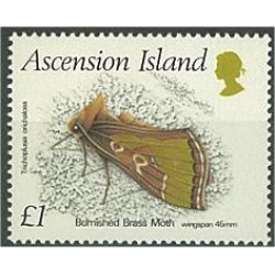 Ascension Island 456 **