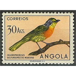 Angola 360 **