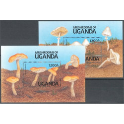 Uganda block 146-147 **