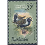 Barbados 535 **