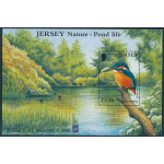 Jersey block 29 I **