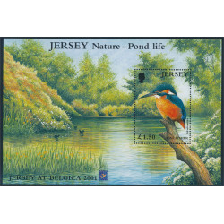 Jersey block 29 I **