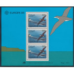 Madeira block 7 **